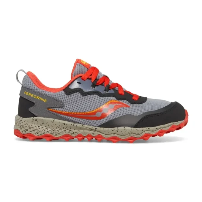 Big kid’s peregrine kdz sneaker