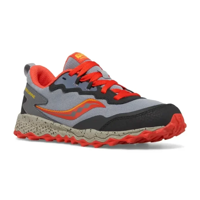 Big kid’s peregrine kdz sneaker